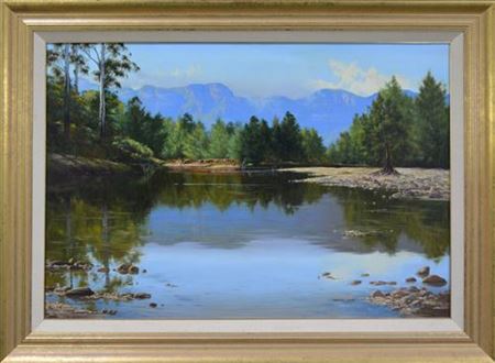 Untitled (River Reflections) by Robyn Collier - Auction record, sale price, and art valuation. Compare with similar artists and explore comparable artworks.