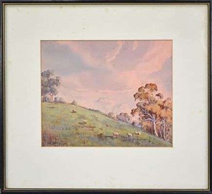 Sheep Grazing on Hillside