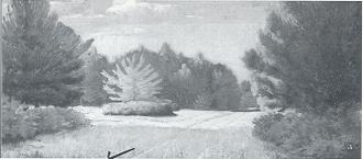 Ohio Landscape by Hans Busch - Auction record, sale price, and art valuation. Compare with similar artists and explore comparable artworks.