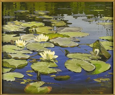 Lily Pond