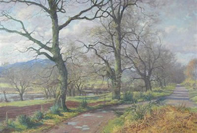 TREES NEAR CONTIN