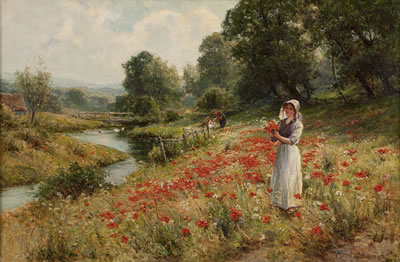Gathering Poppies