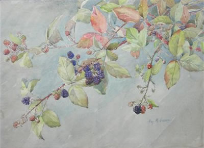 BRAMBLE