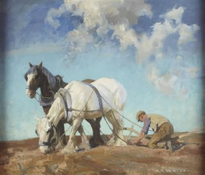THE PLOUGH TEAM