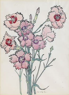 CARNATIONS