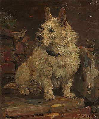 "CLUNY" - A SCOTTISH TERRIER