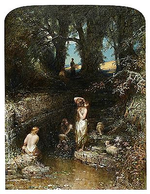 THE ROCK POOL