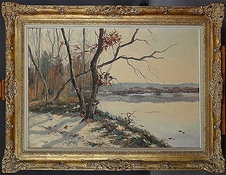 Vue d'étang sous la neige