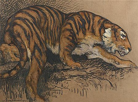Tigre
