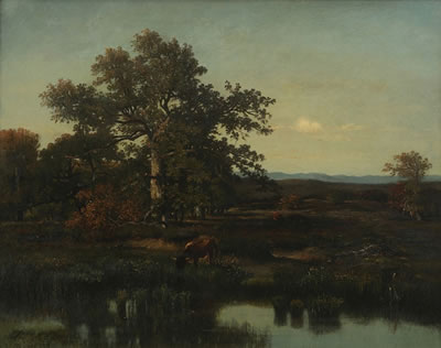 Mare en foret