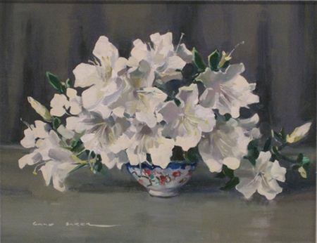 White Azaleas