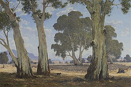 Australian sheep country, 1983