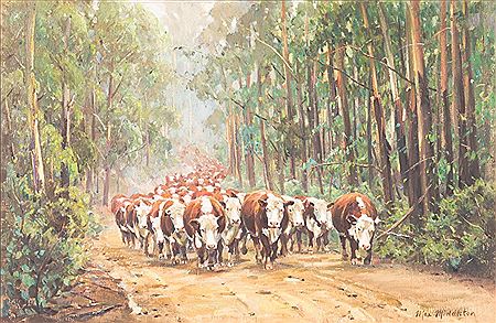 Bringing The Cattle From The High Country (East Gippsland)