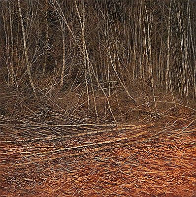 Collapsed Regrowth II 2009