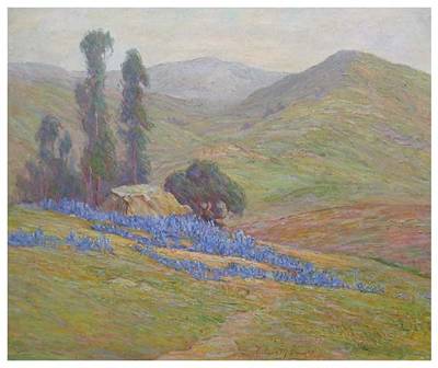 Lupines on a Hillside