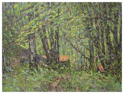 Forest Cabin