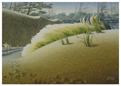 Grass in sandy landscape near water