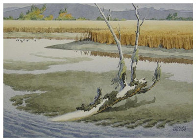 Marsh landscape with ducks