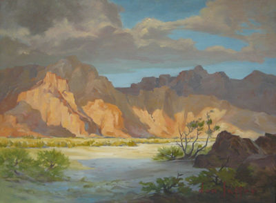 Desert landscape