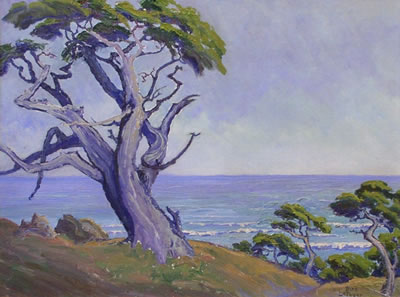 California Cypress, California coast
