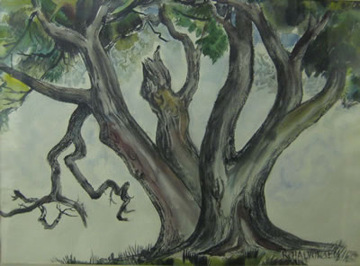 Spreading Tree by Ruth Halvorsen - Auction record, sale price, and art valuation. Compare with similar artists and explore comparable artworks.