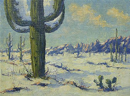 "Afternoon", snow-covered Arizona desert