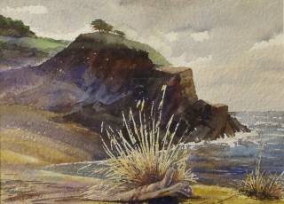 Cove & Cliff