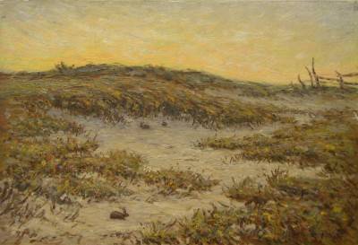 Rabbits in Sand Dunes