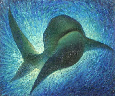 Lo squalo, 1972