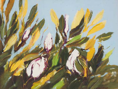 Magnolia