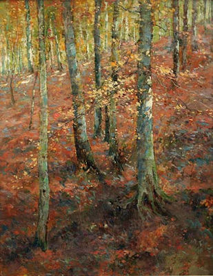 Bosco di betulle