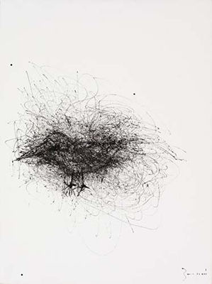 Out line bird, serie "pagine di taccuino"