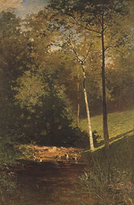 Stagno nel bosco con anatre