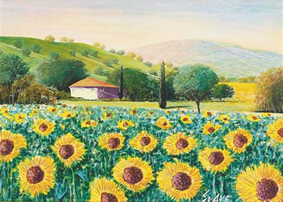 Verso il sole