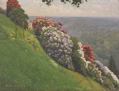 I rododendri della Burcina (Biella)