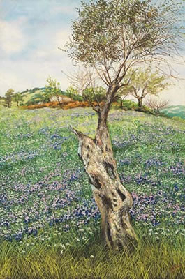 Paesaggio