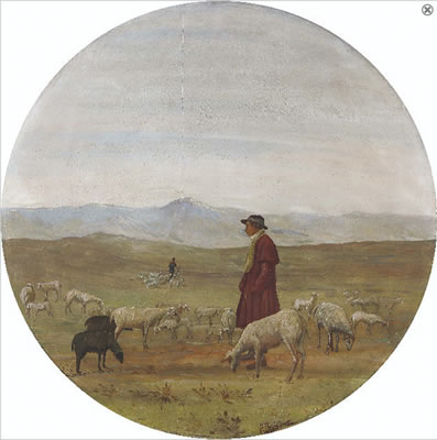 Pascolo in alta montagna