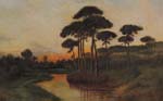 Tramonto sui pini