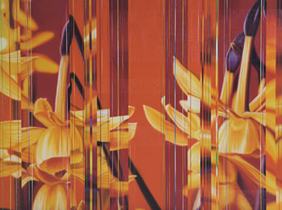 Senza titolo, 2004