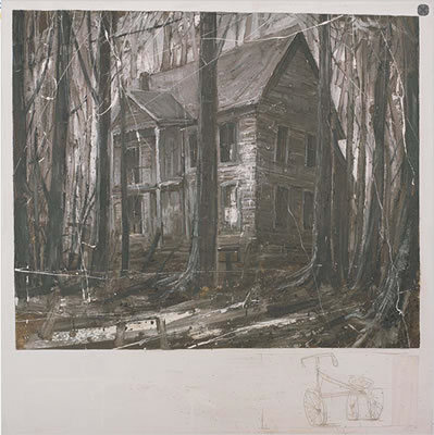The strange house in the wood