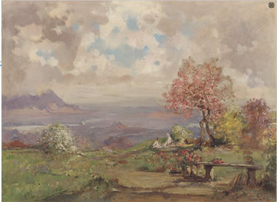 Primavera in fiore