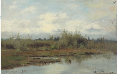 Nella palude
