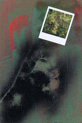 Feuille morte n° 11
