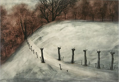 Neve