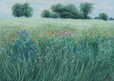 Paesaggio, 1996