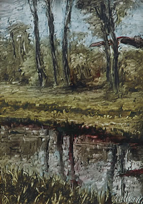 Riflessi