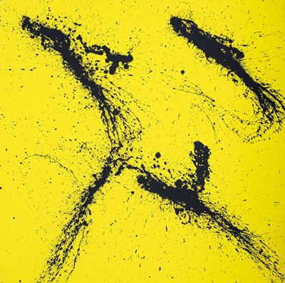 Yellow and Black