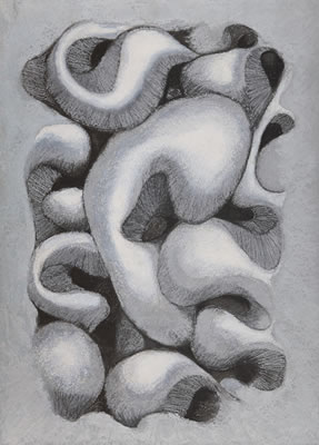 Harmony series