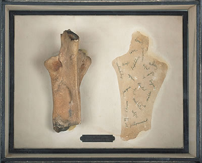 10 cm cubes de sang mutilation et vie by Christian Tobas - Auction record, sale price, and art valuation. Compare with similar artists and explore comparable artworks.
