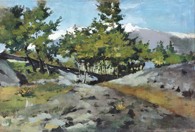 Paesaggio by Domenico Rabioglio - Auction record, sale price, and art valuation. Compare with similar artists and explore comparable artworks.